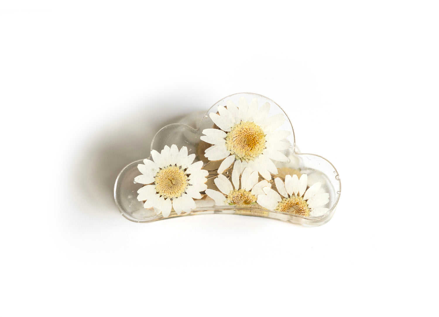 Pince nuage avec fleurs séchées