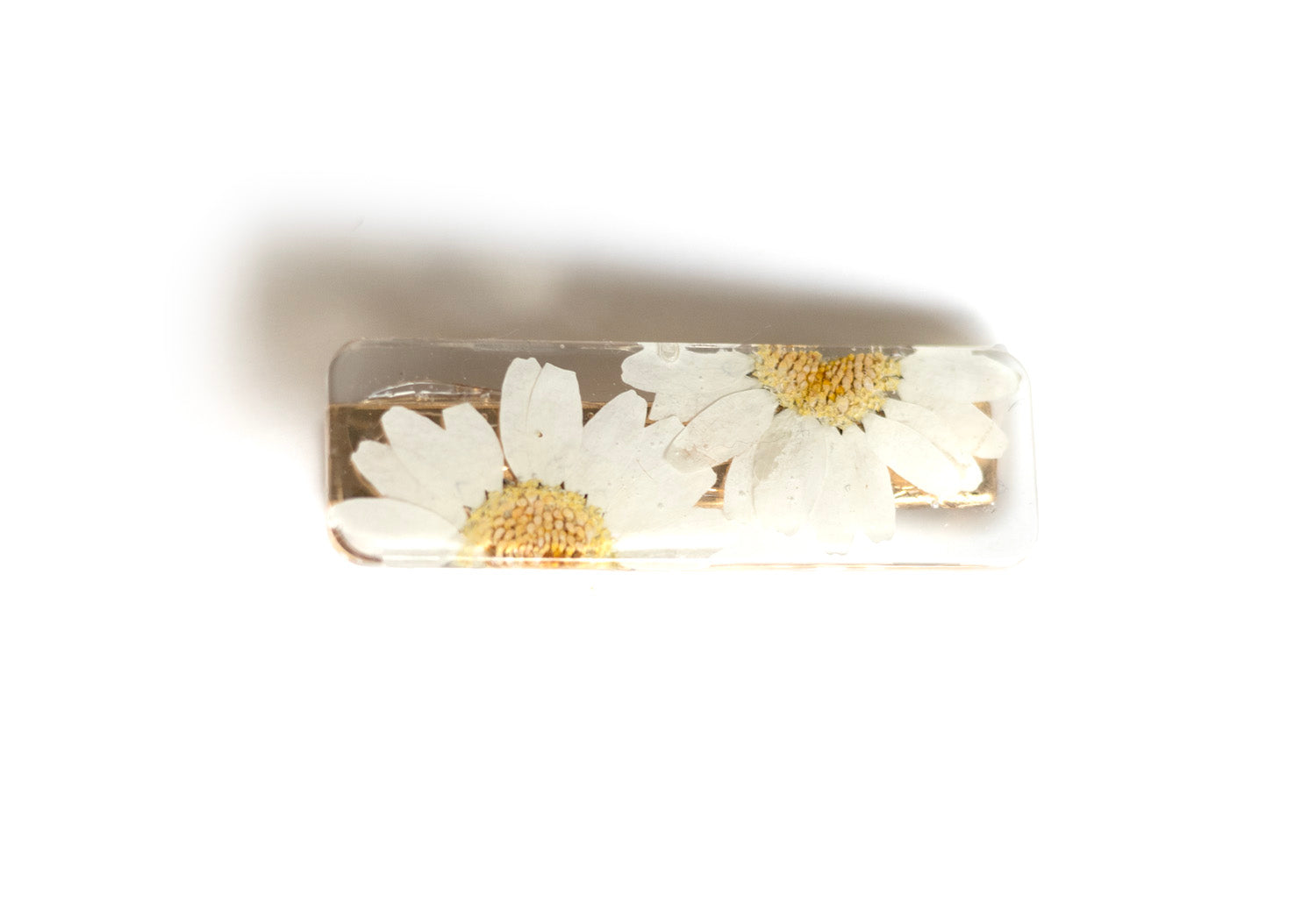Barrette droite avec fleurs séchées