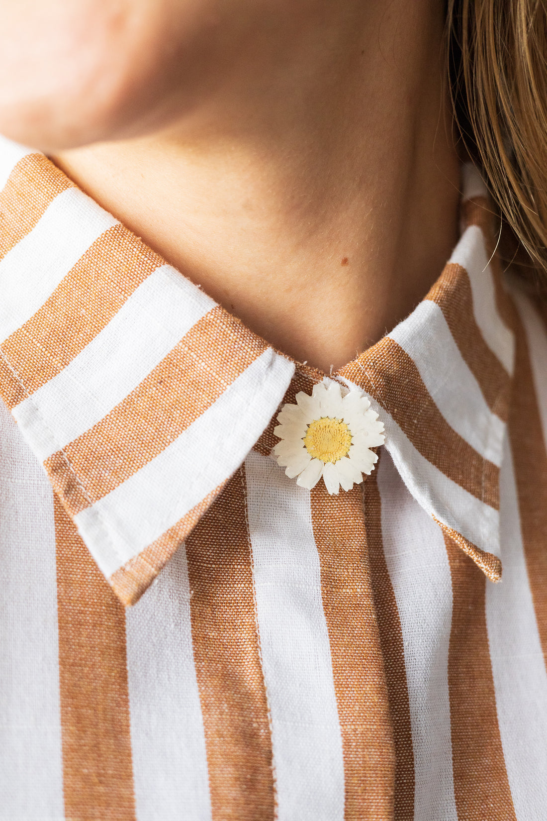 Dried Daisy Shirt Button Cover