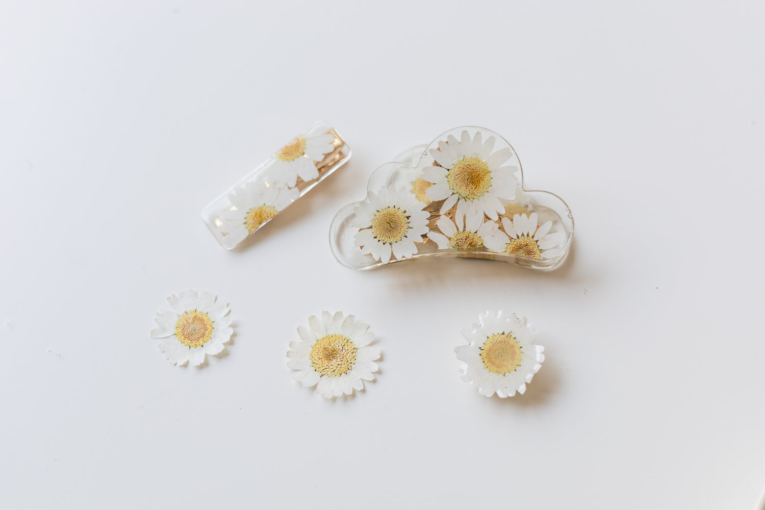 Couvre-bouton de chemise en fleur séchée