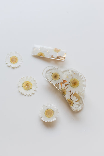 Pince nuage avec fleurs séchées