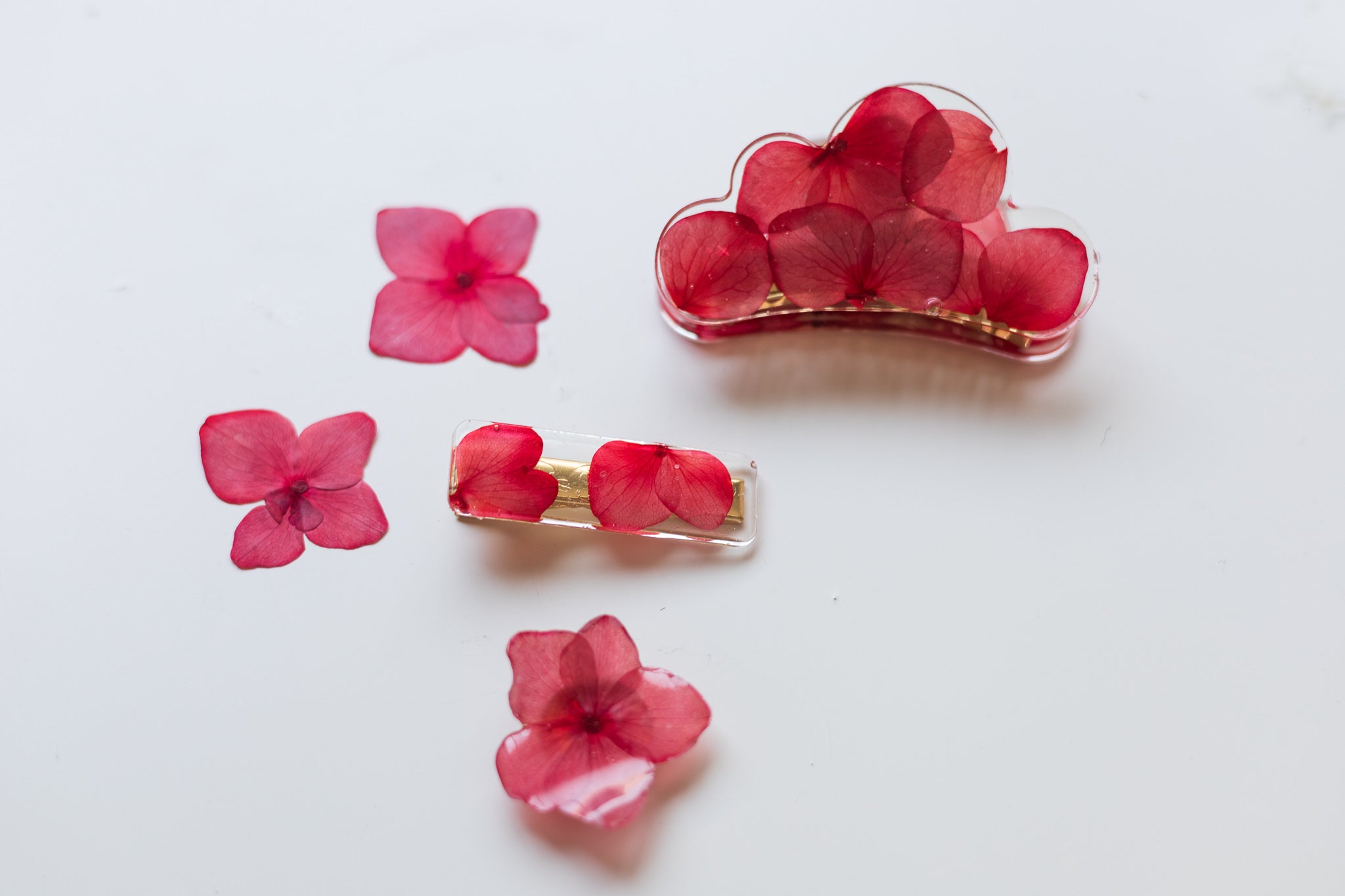 Couvre-bouton de chemise en fleur séchée