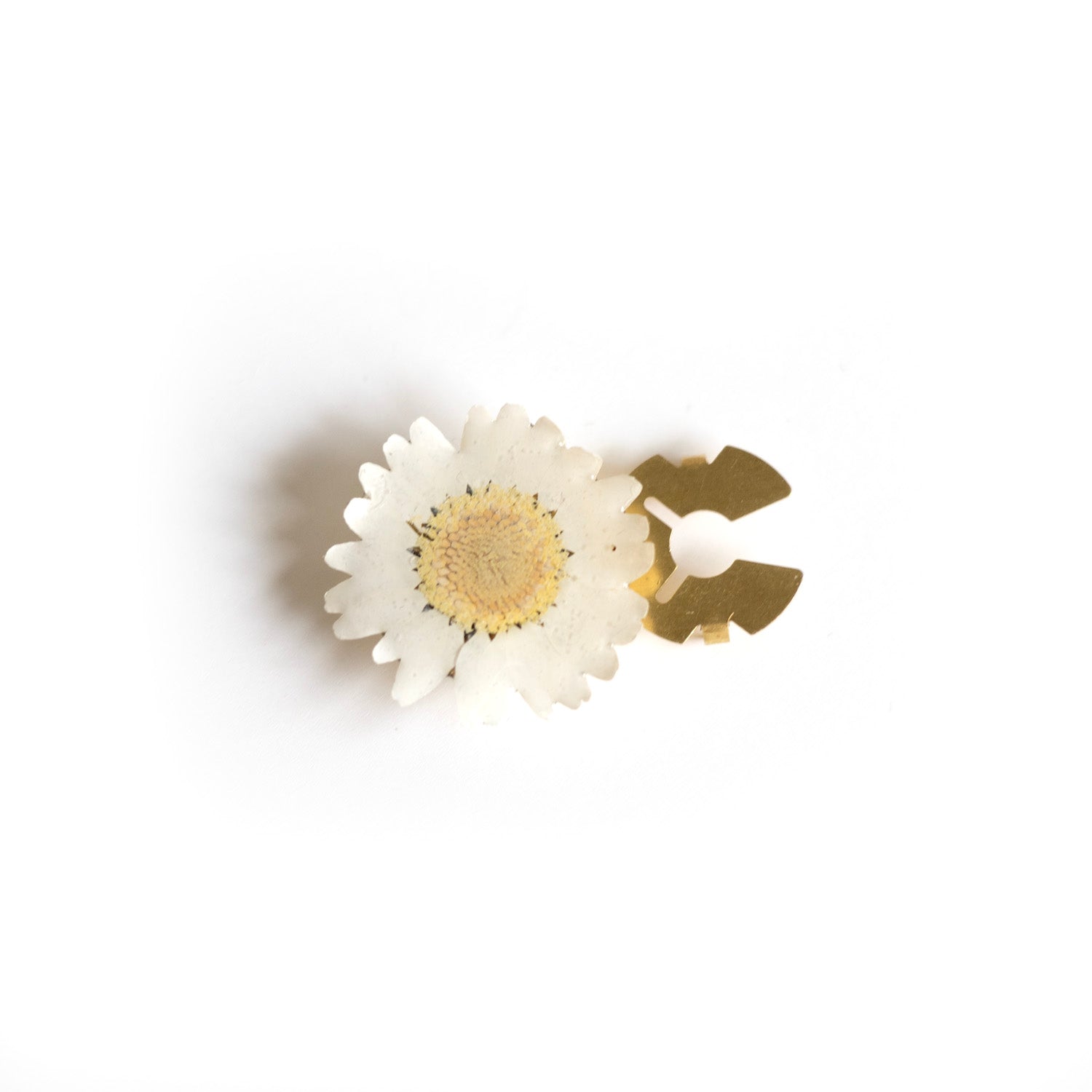Couvre-bouton de chemise en fleur séchée