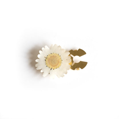 Couvre-bouton de chemise en fleur séchée